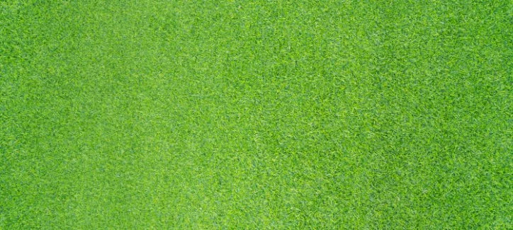 Artificial grass for backyards